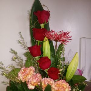 Meet your Posher, Rosita